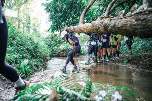 BIB: 
                            <button type="button" onclick="openModal(25473752)" class="btn btn-primary btn-sm float-right btn-popup" data-toggle="modal" data-target=".modal-high-quality">
                        <i class="fas fa-shopping-cart"></i> Add to Cart
                    </button>
                                            <button type="button" onclick="isThisMe(25473752, true)" class="btn btn-success btn-sm float-right btn-popup btn-isme hidden" data-toggle="tooltip" data-placement="bottom" title="นี่คือรูปของคุณใช่ไหม คลิกที่นี่เพื่อเอาเข้าอัลบั้ม">
                        <i class="fas fa-plus"></i> Add to album
                    </button>
                    <button type="button" onclick="isThisMe(25473752, false)" class="btn btn-warning btn-sm float-right btn-popup btn-isnotme hidden">
                        <i class="fas fa-ban"></i> Remove from album
                    </button>